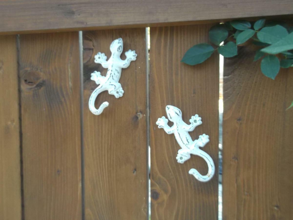 Belvarosi Apartmanszallo - Kiskunfélegyháza 外观 照片